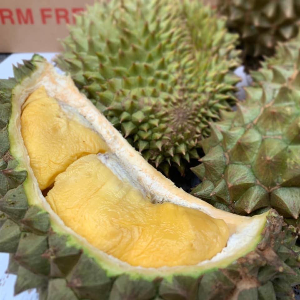 How to Choose a HEW1 durian – The Thorny Fruit Co