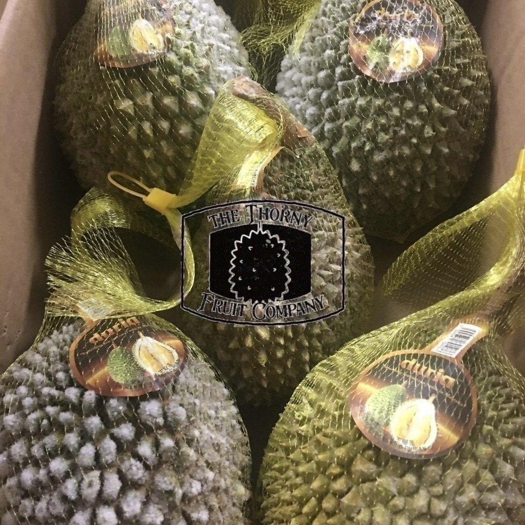 [PRE-ORDER] Duria Australia Frozen Whole Musang King Durian D197 - The Thorny Fruit Co